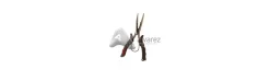 Alicates de Acero Inoxidable con Reemplaza Anillas-Rapala Best