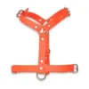 Arnés Ajustable Polytec