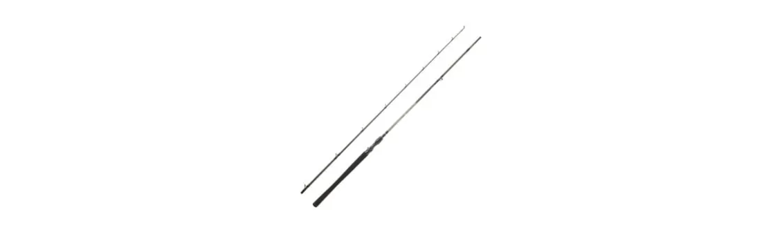 Caña Daiwa Exceler Casting