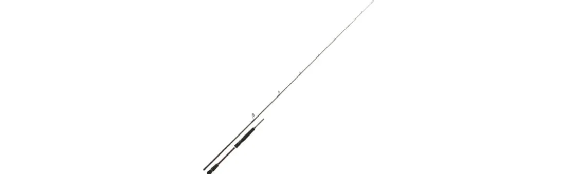 Caña Daiwa Infeet Seabass Kayak