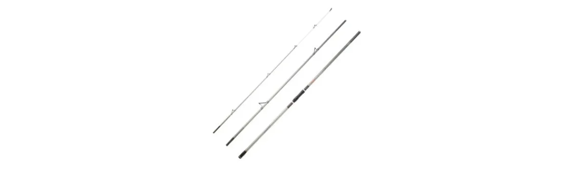 Caña Shorecast Surf X 24-Daiwa Outlet