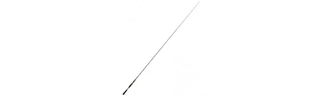 Caña Daiwa Steez AGS Casting