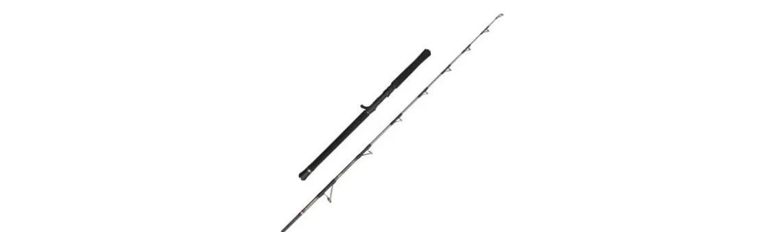 Caña Penn Regiment IV Jig Cast
