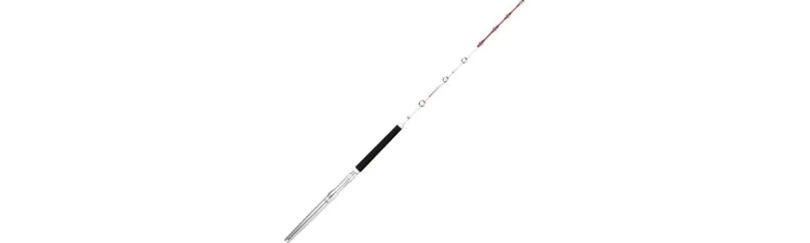 Caña Magnum RH-Rapala New