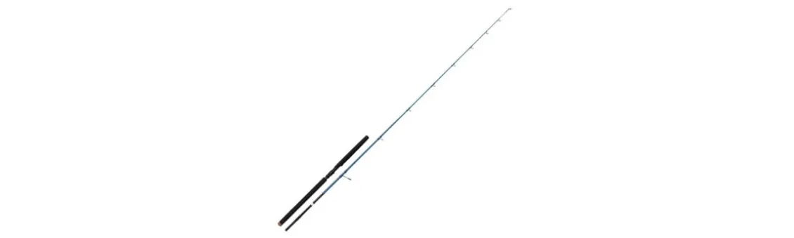 Caña Savage Gear SGS2 Offshore Plug