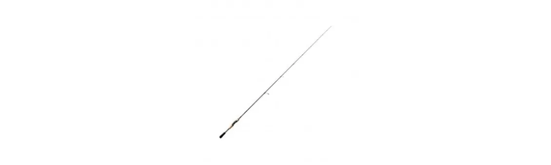 Caña Shimano Expride Spinning