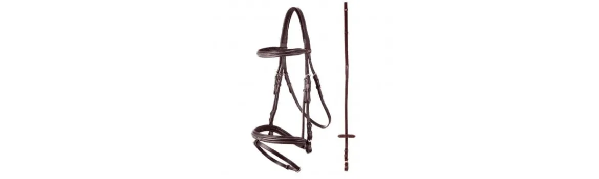 Cabezada BR Premiere Nancy con Riendas-BR Equestrian Outlet