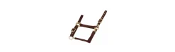 Cabezada de Cuadra EquiTheme Nylon Hebilla Dorada-Equi Theme Best