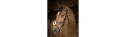 Cabezada de Montar Norton Pro con Muserola-Equi Theme