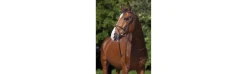 Cabezada de montar RIDING WORLD “Muserolle combinée”-Alvarez Best