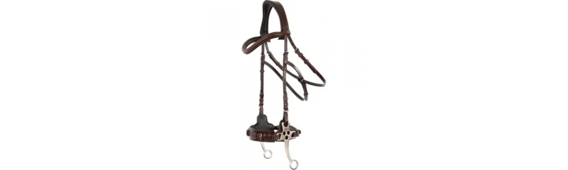 Cabezada Inglesa BR Lydney-BR Equestrian Online