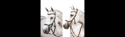 Cabezada Inglesa Horseware Micklem 2 Competition Bridle-Hispano Hípica Discount