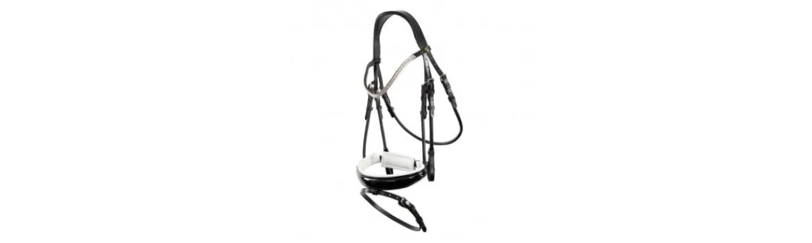 Cabezada Rienda Sencilla BR Plymouth II-BR Equestrian Clearance