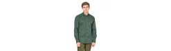 Camisa Spagnolo Cutaway Verde
