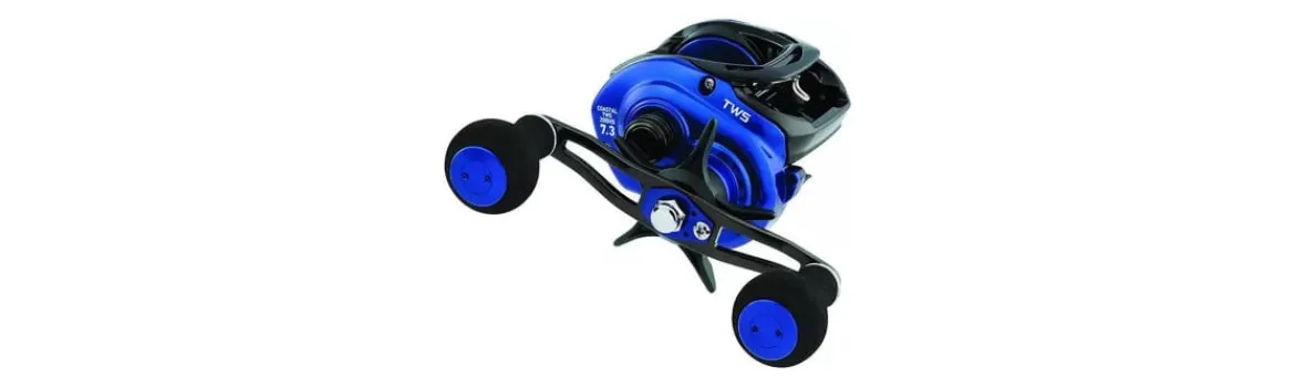 Carrete Coastal TWS 200-Daiwa
