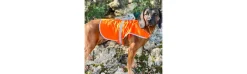 Chaleco Perro Alta Visiblidad-Pasión Morena Online