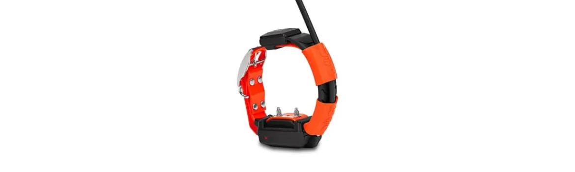 Collar Adicional Dogtrace X25-T-Arcea Best