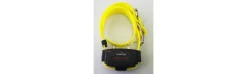 Collar Adicional para Amarillo-Canicom Discount