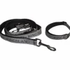 Collar y Correa para Perro Kingsland KLMacey