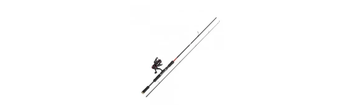 Combo Abu Garcia Cardinal X