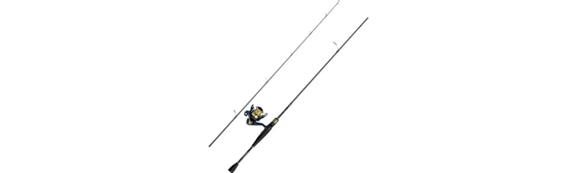 Combo Daiwa RS