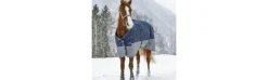 Manta EQUITHEME TYREX 600 D 150g-Equi Theme Discount