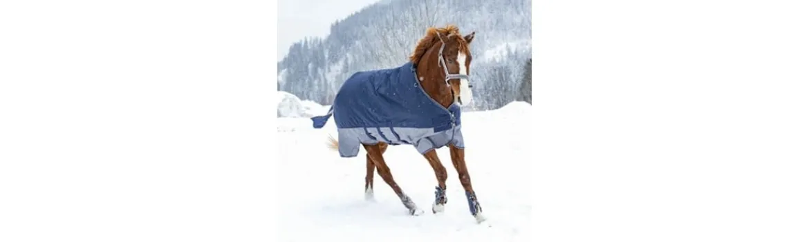 Manta EQUITHEME TYREX 600 D Belly belt-Equi Theme New