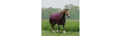 Manta Exterior Impermeable Equitheme Tyrex D 300g