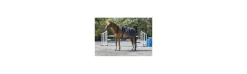Manta Grupera Equi-Theme TYREX 1200 D Forro Polar