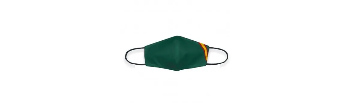 Mascarilla HOMOLOGADA REUTILIZABLE_Verde Bandera España-Alvarez Hot