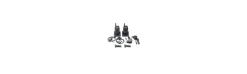 Pack 2 Radios BR02 Pro Z-Midland New