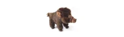 Peluche Cría de Jabalí Nature-Alvarez Discount