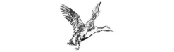 Pin Pato-Jack Pyke Sale