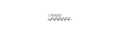 Plomo Daiwa Prorex Screw-in System Screw