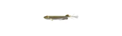 Vinilo de Daiwa Prorex V Marley Pelagic Shad